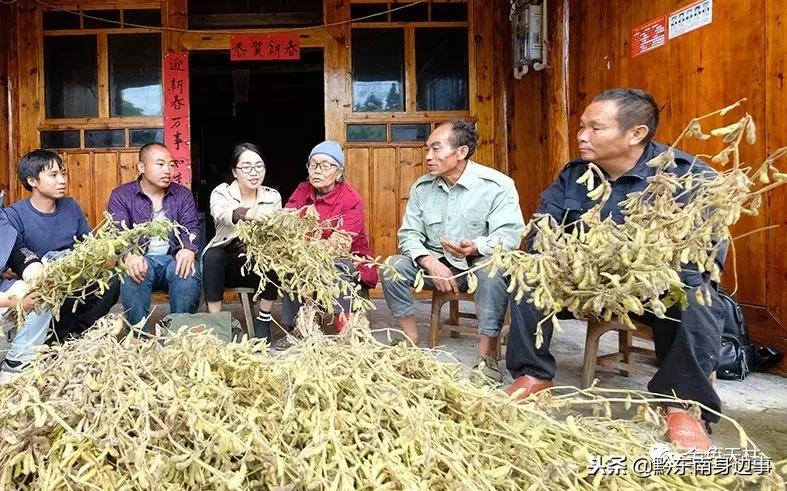 红豆在雷寨村晶莹——记天柱同步小康驻村干部杨丽娜