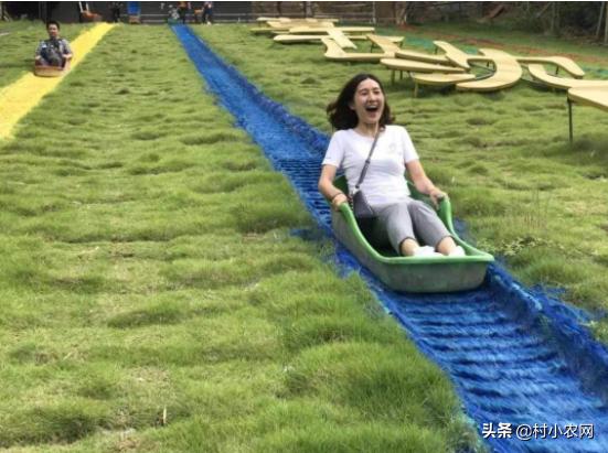 农业农村创业风口项目有哪些,适合农村的小本生意农业创业项目