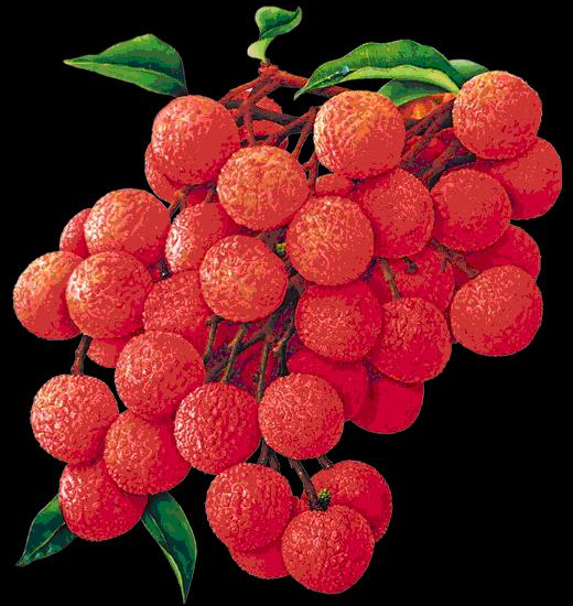 大年初三群相册，有群的都看看，太美了，这辈子见一次值了