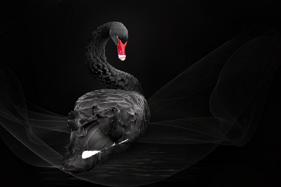 奶茶加盟为何容易爆雷,创业者加盟虚假奶茶店被套路