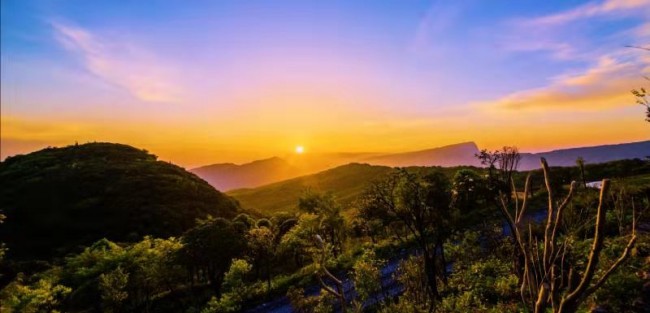 重庆武隆旅游事件,重庆武隆旅游最新消息