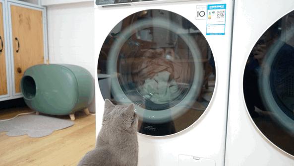 lg性价比最高的洗烘套装,lg洗烘套装性价比最高的一款