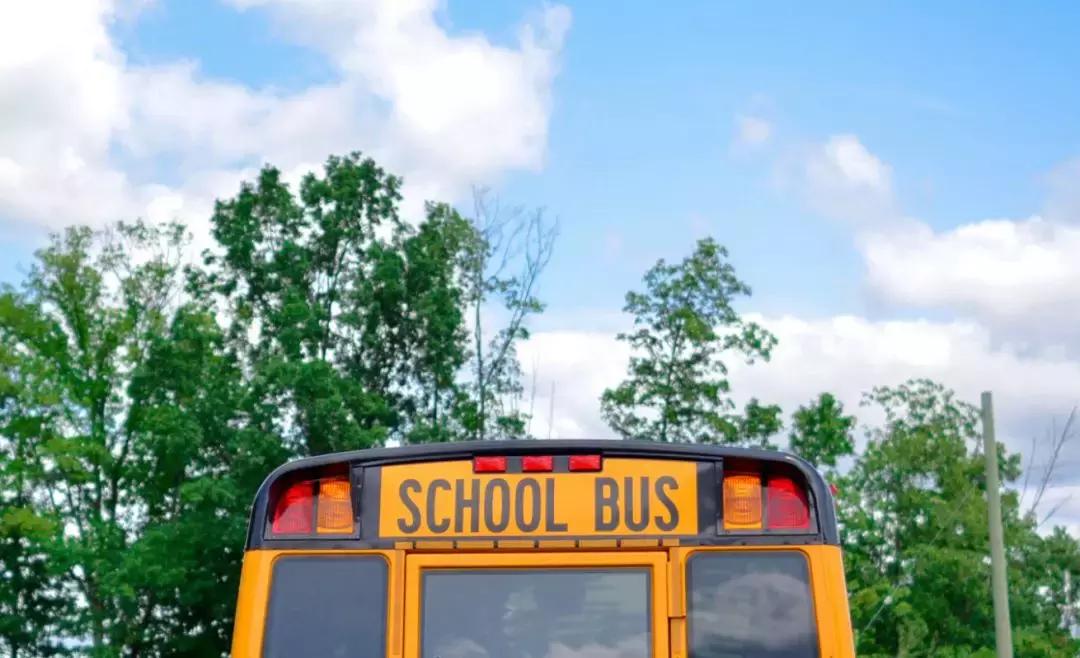 2021西海岸新区初中学区划分图,2021年延安新区学区划分