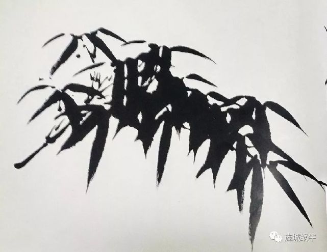 竹叶的画法模板,竹叶的钢笔画法