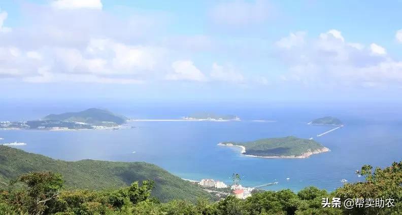 芒果季不能错过的芒果：汁多、肉Q、香甜，吃起来真的很过瘾！