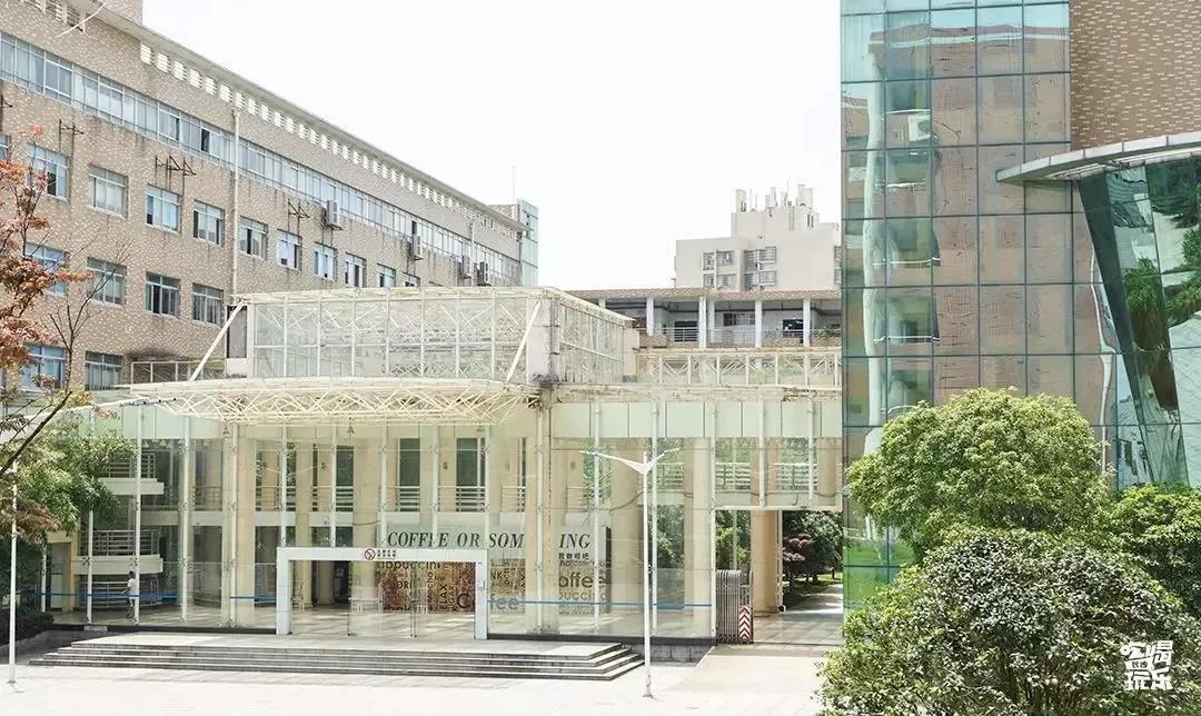 母校我想你,想你母校