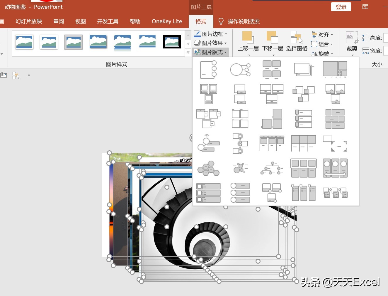 ppt怎么快速对齐排版,wps中多张ppt怎么快速排版图片