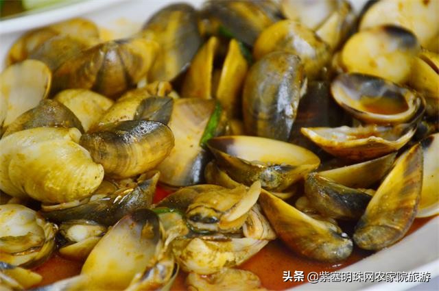 辽宁东戴河海滨浴场,辽宁绥中东戴河看海