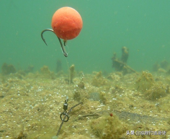 欧鲤钓各种钓组优势,话说欧鲤钓之铅坠篇