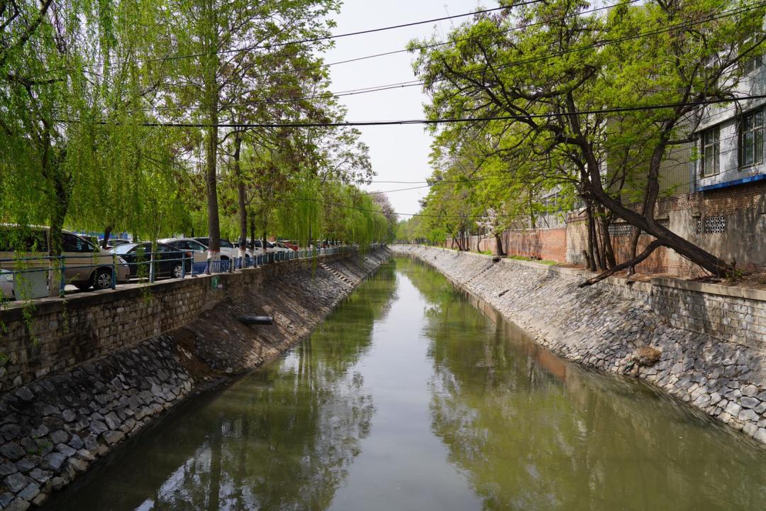 90年前的保定府西关柳色，村童垂钓少女浣纱，俨然有板渚隋堤风味