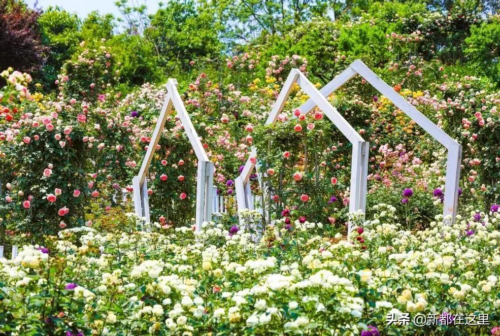 这才是9月最值得去的地方,4月最值得去的地方