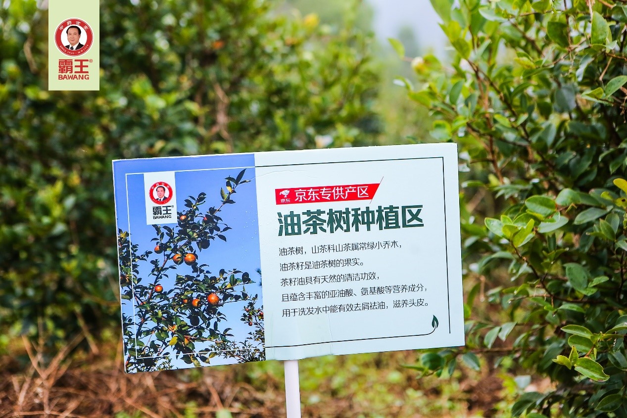 “买买买”有保障！京东溯源检查团带你探访霸王洗发水品质源头