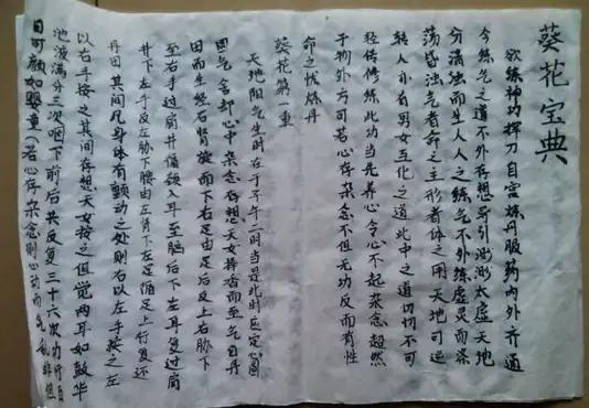 葵花宝典电影完整版,葵花宝典美利坚合众国