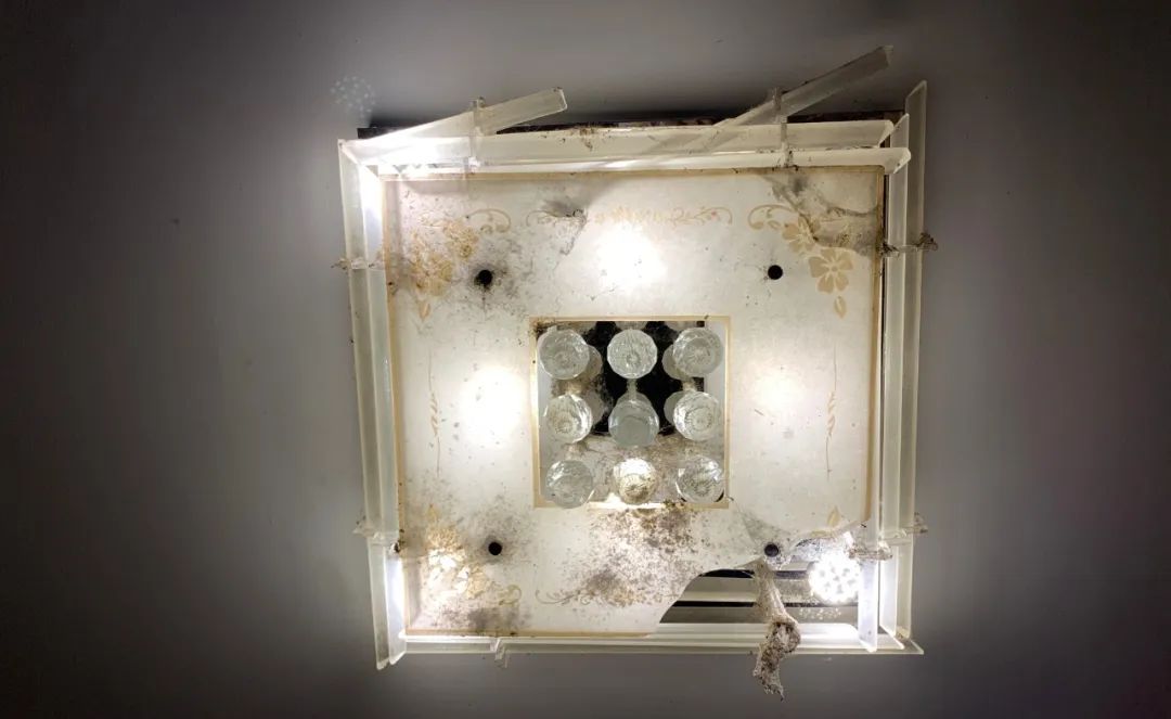 殴打业主处理结果,殴打业主