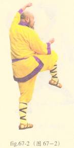 少林心意门拳视频教程,少林长护心意拳图解