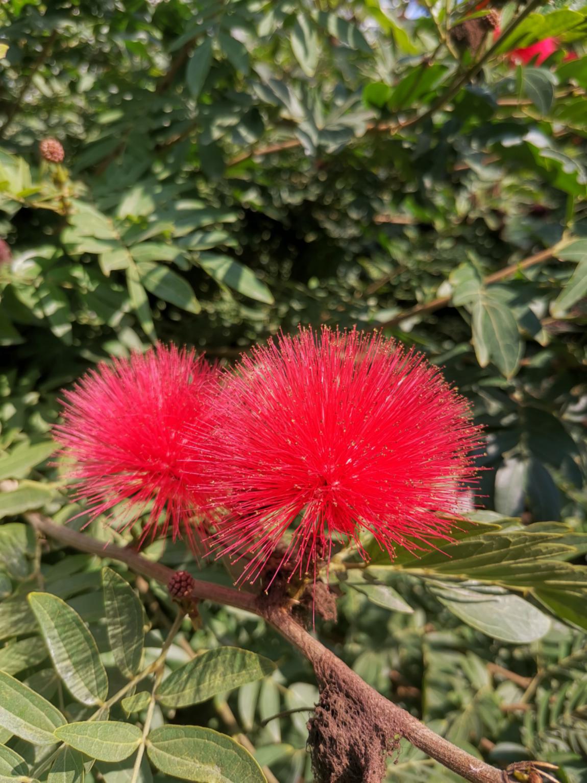 2999的荣耀v20值得购买吗,2999的荣耀v20对比华为mate20