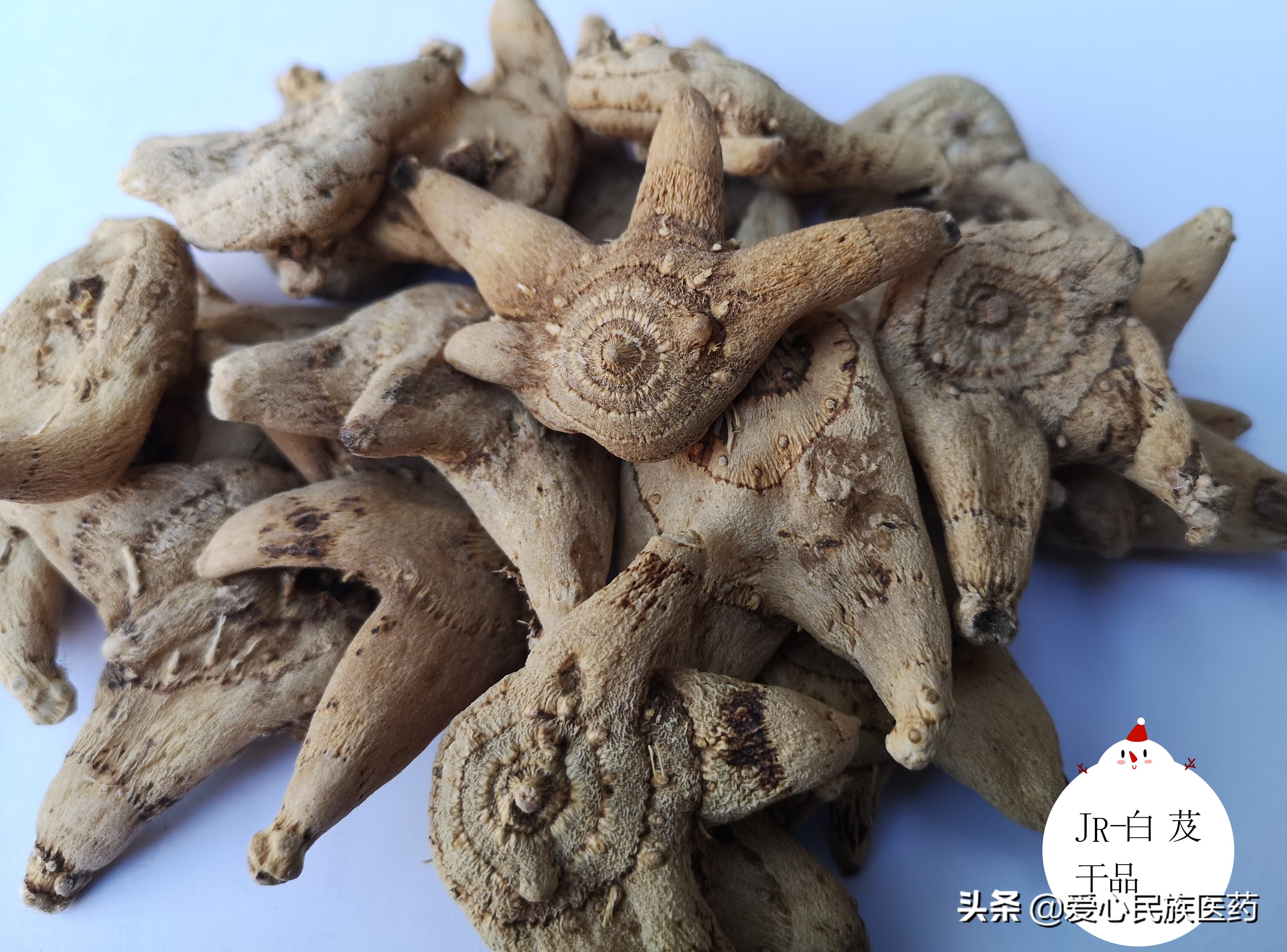 白芨是一味古老的中药,中药白芨的美容作用与功效图片