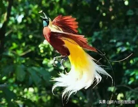 小s徐熙娣最新广告,小s徐熙娣走秀头发遮脸