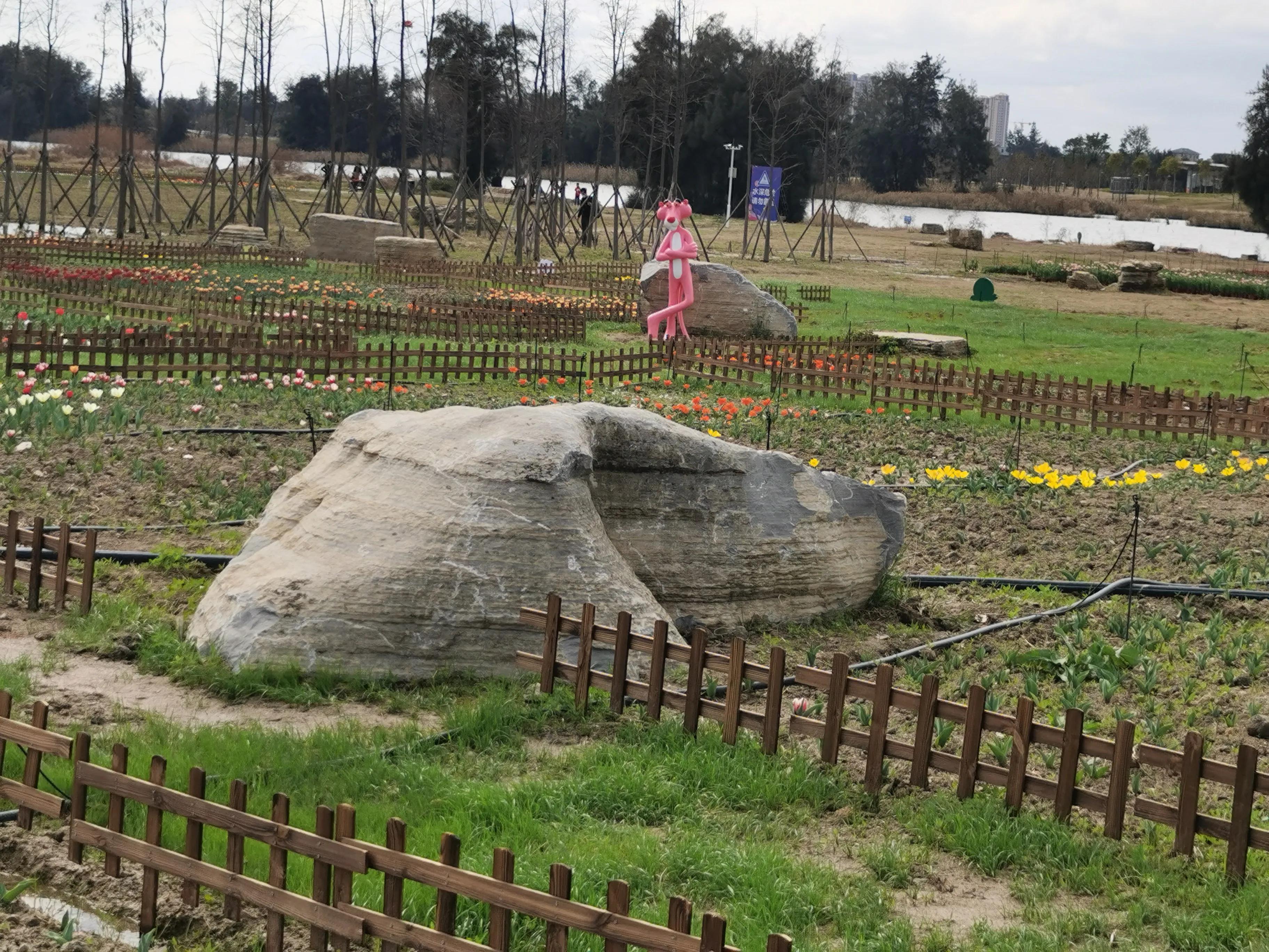 美丽郁金香花海,美丽郁金香gullale小程序