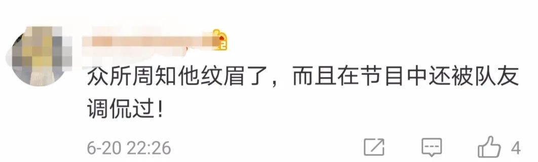 景甜眉毛属于什么眉形,景甜粗眉跟细眉的区别