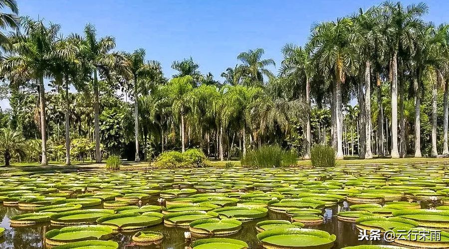 八天七夜云南旅游,八天七夜旅游云南