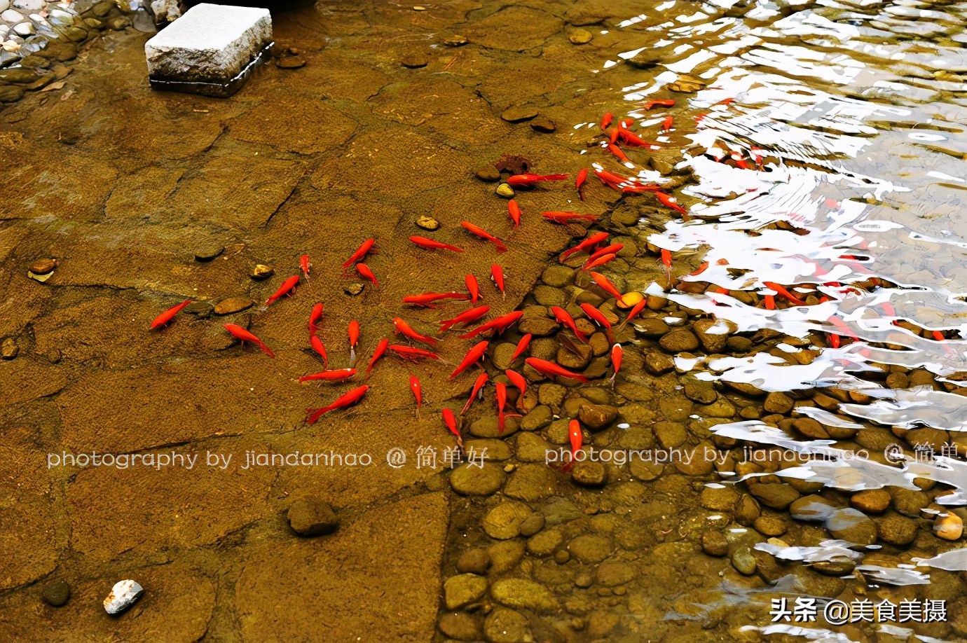 香格里拉360元两日游,香格里拉100元一日游