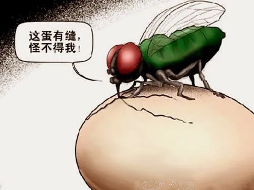 新东方困局,大变局公平何在