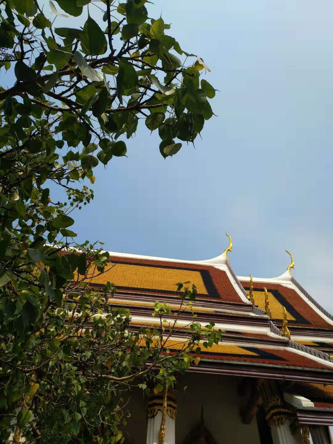 泰国留学有哪些热门的院校与专业,泰国留学便宜的专业推荐