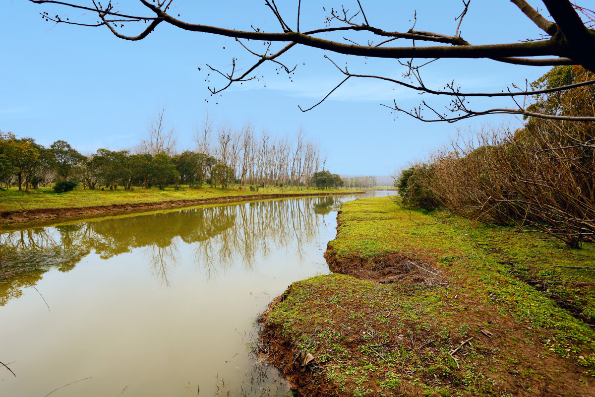 上海有哪些公园是免费的门票,上海哪个公园不收门票景色也不错
