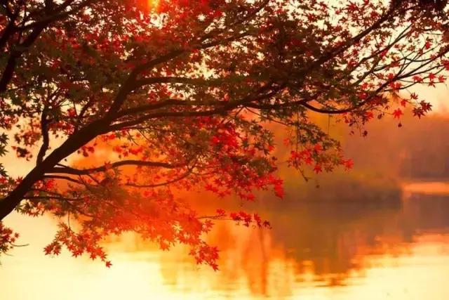 六月我们一起去旅行,九月带你去旅行