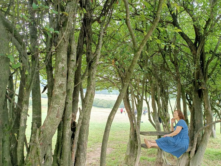 大美武隆仙女山,畅游重庆武隆区仙女山