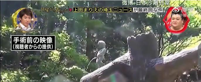 岛国的厕所有多奇葩？