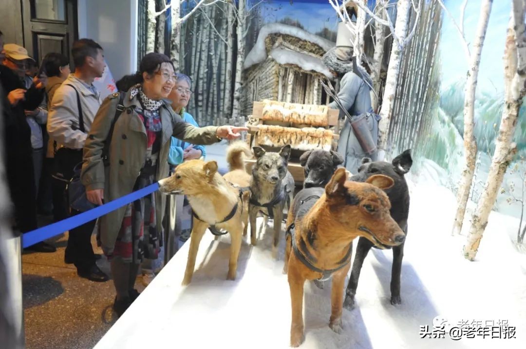 17篇情感微小说，短到极致，却催人泪下，看完泪眼模糊