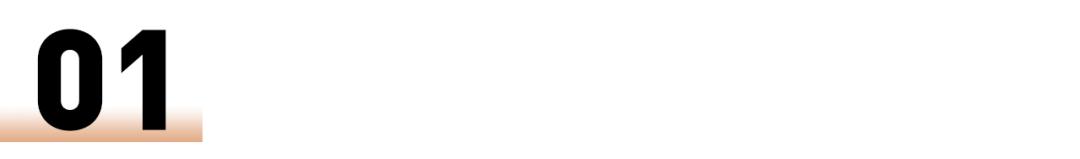 净网2019/深圳300警力突袭9家售车公司,揭开“零首付购车融资”黑幕