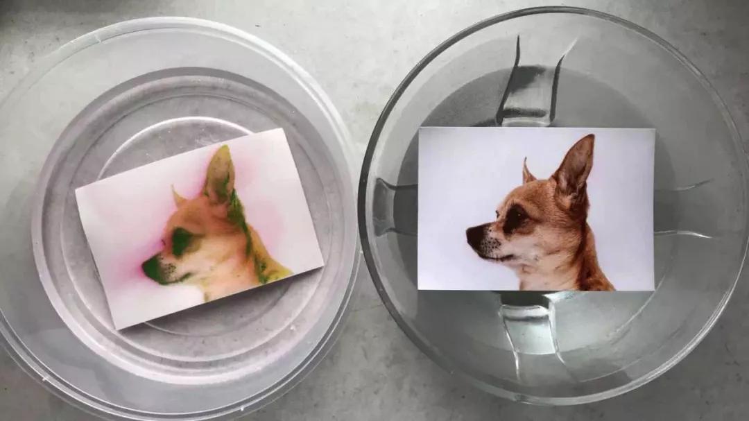 百元家用打印机,百元价位打印机家用推荐