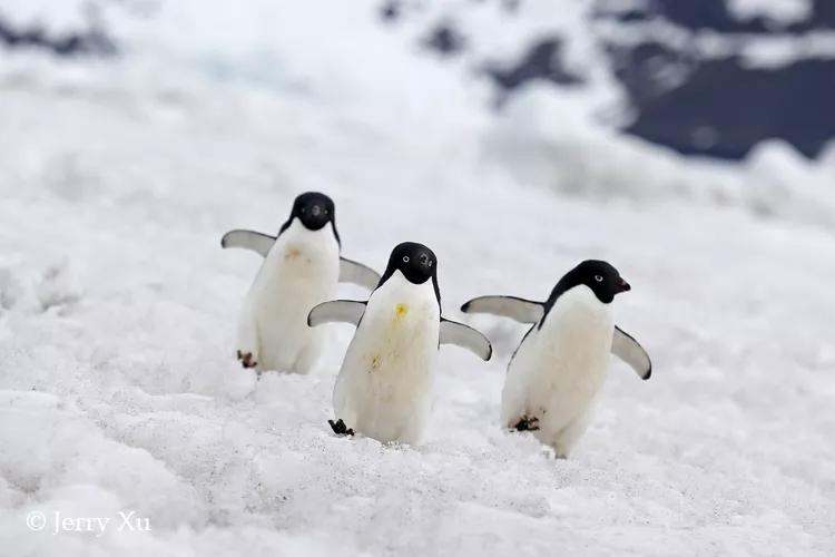 瀹氬埗鍒涙剰鏃呰,鍒涙剰瀹氬埗鏃呰