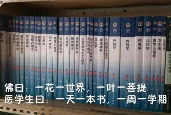 过年最容易被误解的专业,学的专业被误解