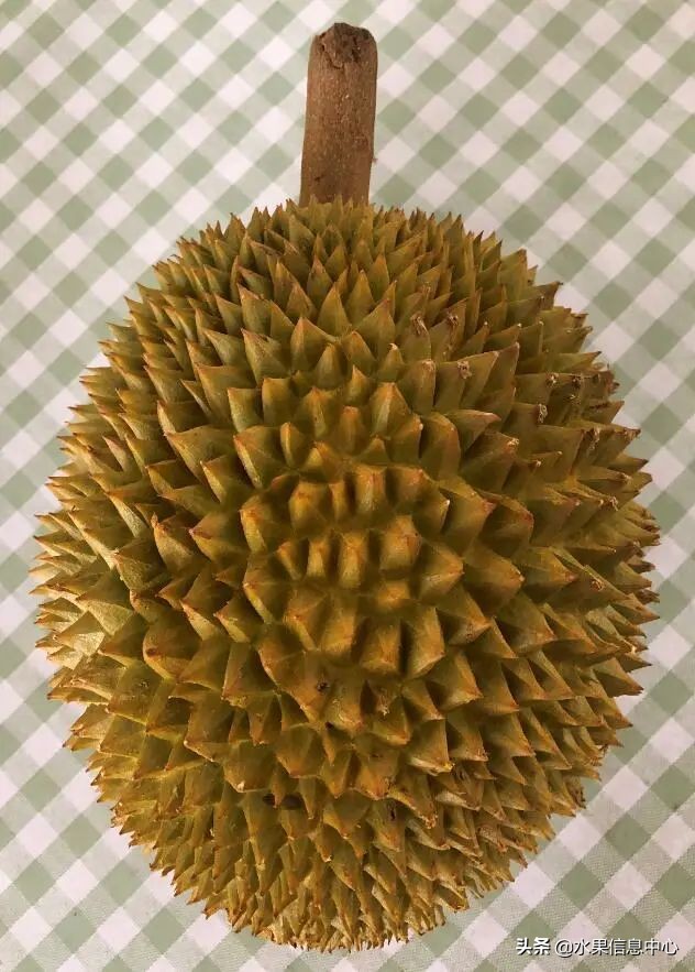 托曼尼猫山王榴莲价格,泰国托曼尼榴莲和猫山王区别