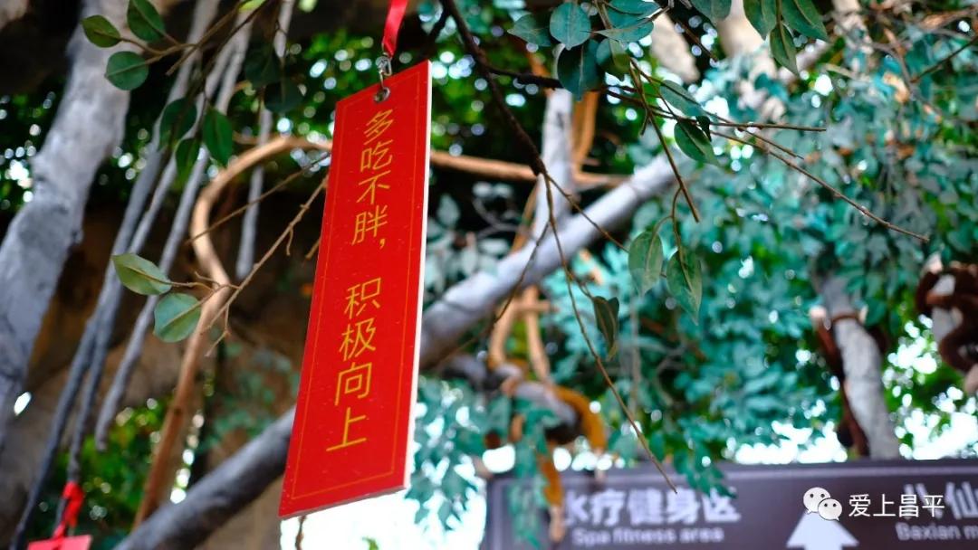 年末盛宴｜除夕夜去哪干饭？昌平年夜饭通关秘籍来了！