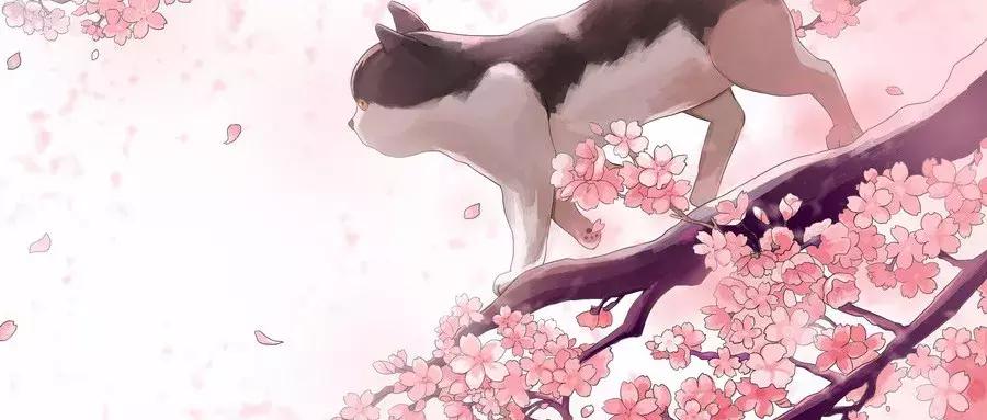 星座运势天蝎座12月运势解析,12星座本月运势