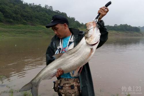 路亚技巧初学者,路亚新手入门教程一般用多长的竿