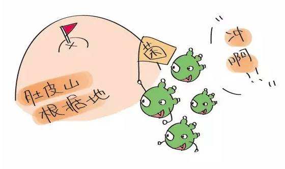 肚脐眼不能随便抠,肚脐眼不能抠但是很脏怎么办