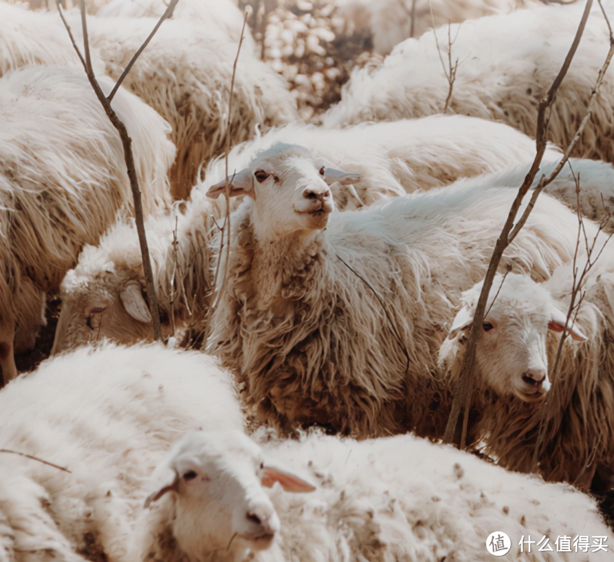 毛衣店铺推荐100元,高颜值毛衣店铺推荐