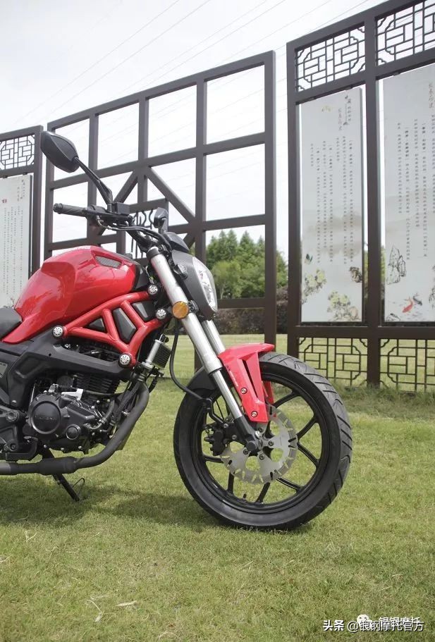 银钢大怪兽和小怪兽哪个好看,银钢小怪兽和大怪兽有什么区别吗