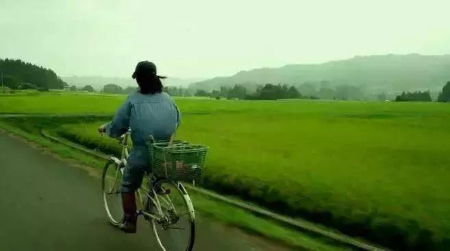 致敬了不起的她原创,致敬了不起的她传递正能量