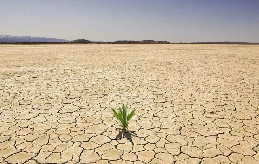 冬天起静电是空气干燥的原因吗,冬天干燥家里有静电怎么办