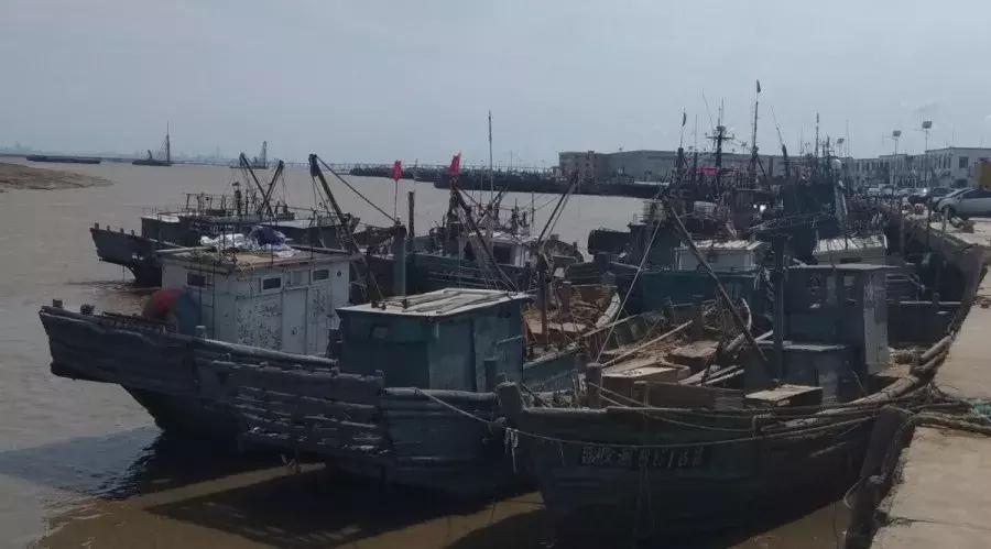 有一种炫富叫青岛开海啦,青岛炫富最新方式