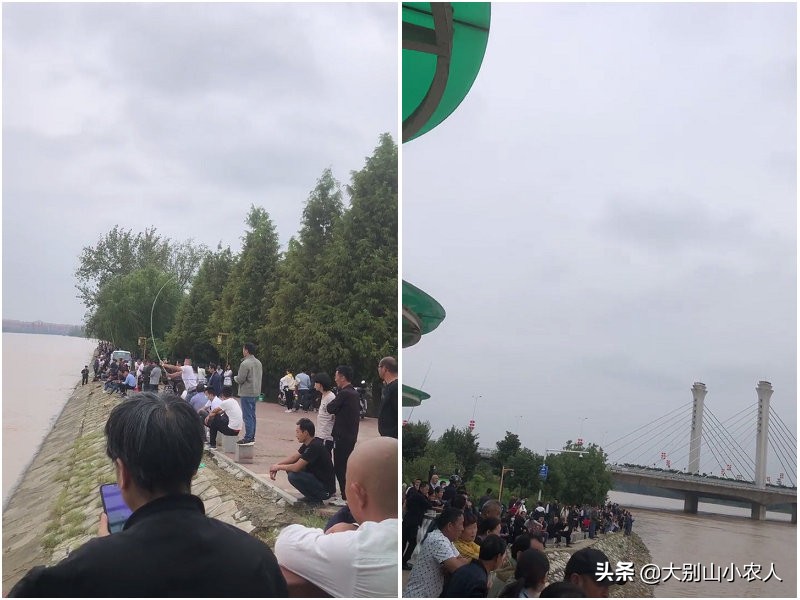 多地捕获！既是保护又是入侵鱼种，烫手的“长嘴怪鱼”如何处理？