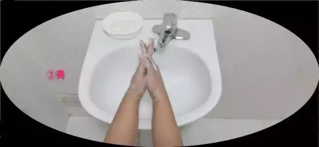 【心分享】七步洗手法