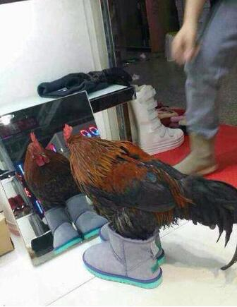 轻松一刻:我好像知道了你家密码